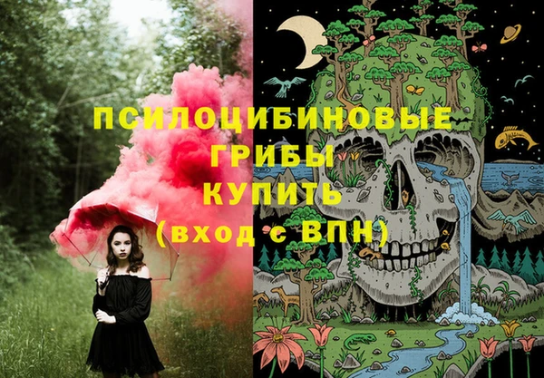 индика Пенза